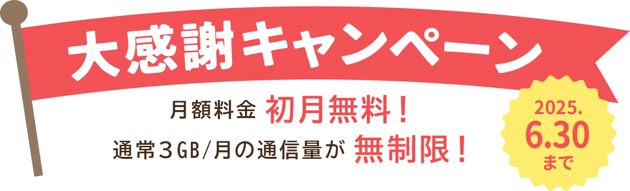 大感謝キャンペーン!月額料金初月無料!通常3GB/月の通信量が無制限!2025.6.30まで