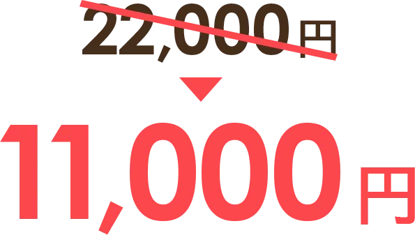 22,000円が11,000円