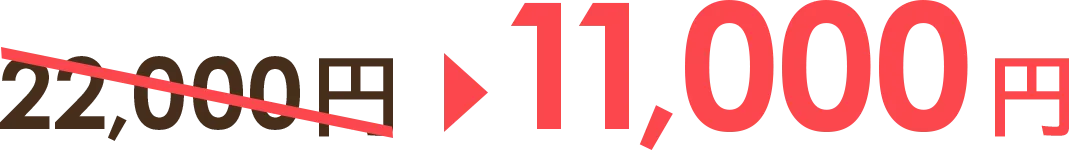 11,000円