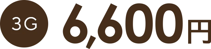 3G 6,600円