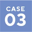 case 03