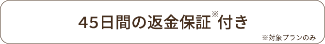 45日間の返品保証付き