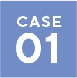 case 01